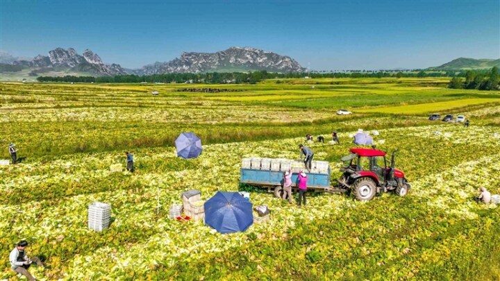 楊司煜攝 楊司煜攝