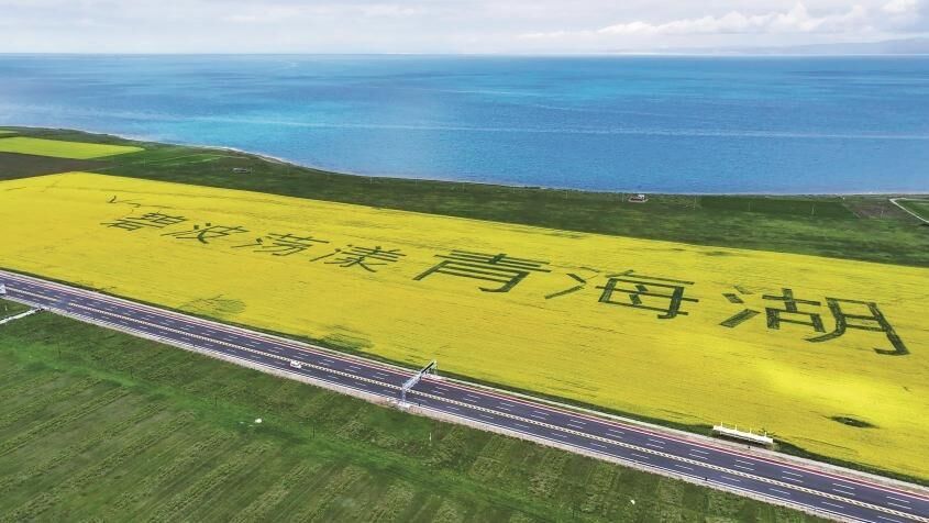 QQ圖片20250428061632