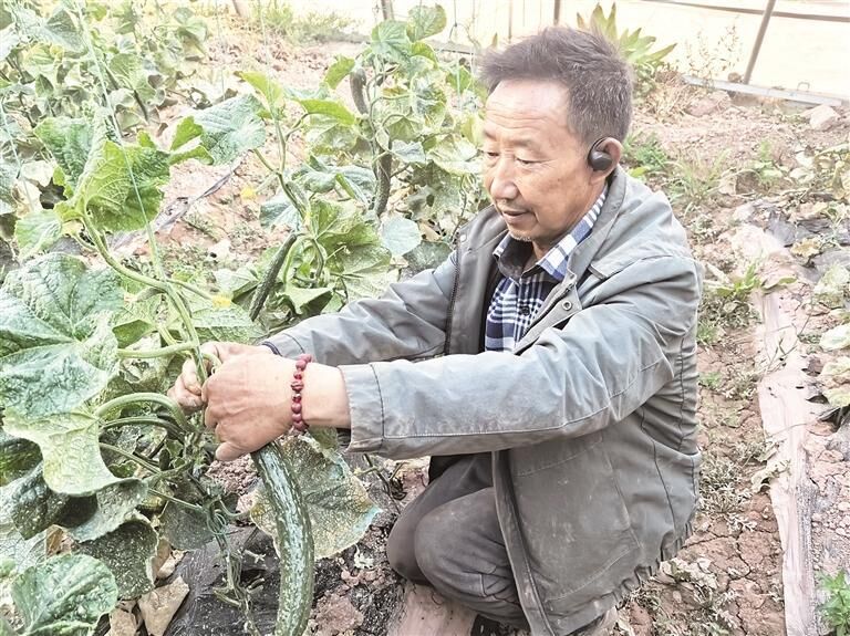 QQ圖片20250729061336