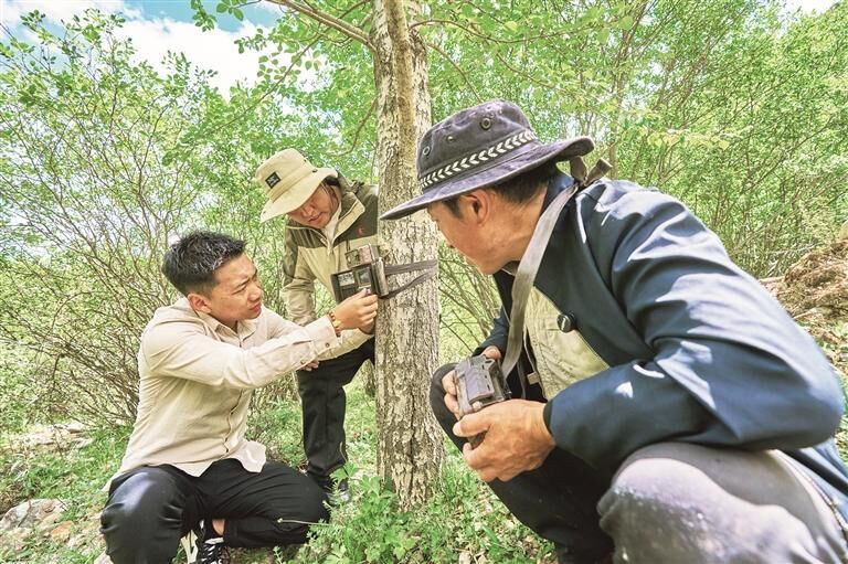QQ圖片20250828064409