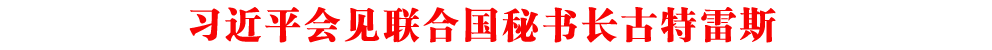 ƽҊ(lin)χؕL˹