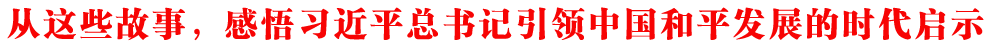 @ЩƽӛI(lng)Їƽl(f)չĕrʾ
