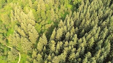 ຣl(xing)ȤꖣB(ti)ocl(xing)dľGɫ