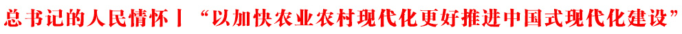 ӛحԼӿr(nng)I(y)r(nng)F(xin)M(jn)Ї(gu)ʽF(xin)O(sh)