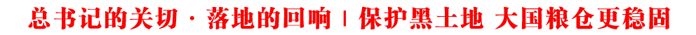 ӛP(gun)СصĻ | o Z}(wn)