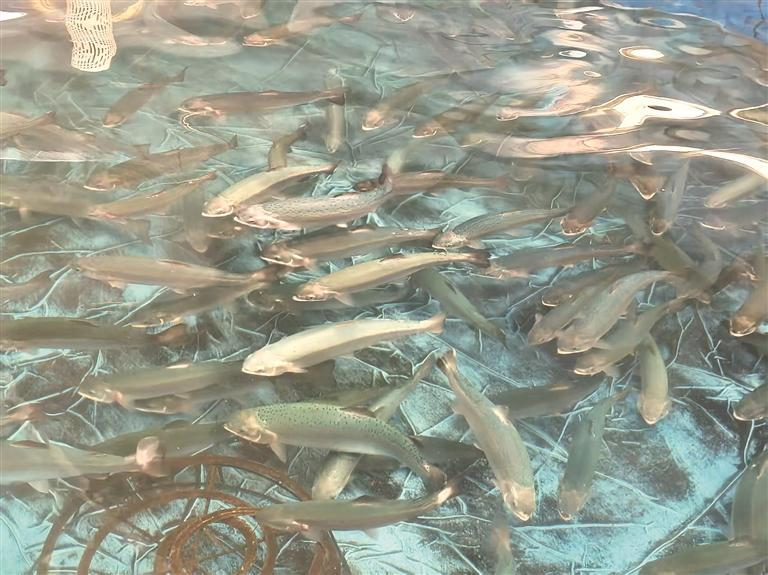 ΢ňDƬ_20251110055605_222_174