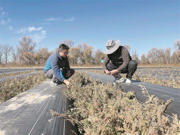 r(sh)  I(y)|(zh)l(f)չ{(dio)Сơຣߺɳ^(q)ɳǻۡຣȫM(jn)̹(jin)(zhn)ϵЈ(bo)֮