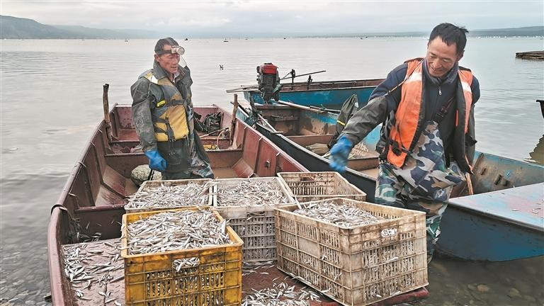 ΢ňDƬ_20251115062706_266_174