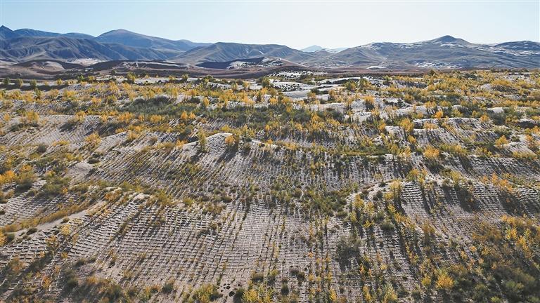 r(sh)  I(y)|(zh)l(f)չ{(dio)СƼxܣຣɳġǻܴaຣȫM(jn)̹(jin)(zhn)ϵЈ(bo)֮