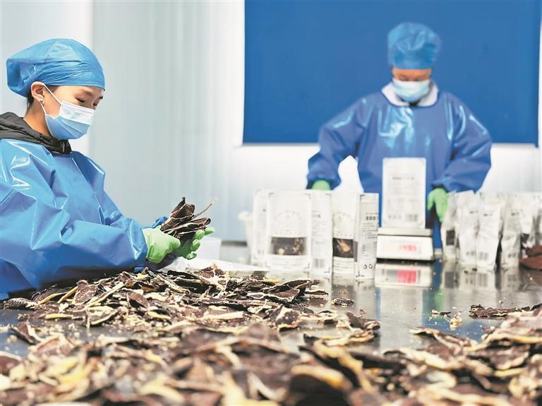 r  I(y)|l(f)չ{С朡ںƾ ԭƷɽh(jng)l(f)չ^졤ƪ