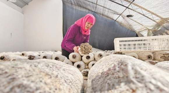 l(xing)d؜ϴġʳԽ