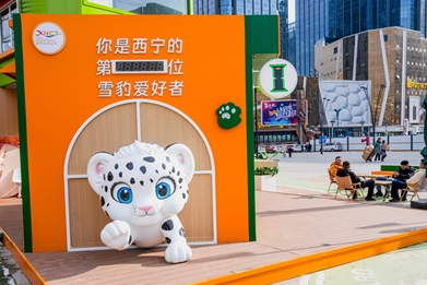 @@IP x ϵЈ(bo)֮һ