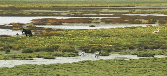 P(gun)עl(f)]f(xi) Աo(h)ʡf(xi)@ȫӏ(qing)Աo(h)M(jn)(sh)F(xin)B(ti)󻯡f(xi)h