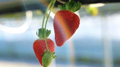 ׌вݮĻˇg(sh)29ՆĻ