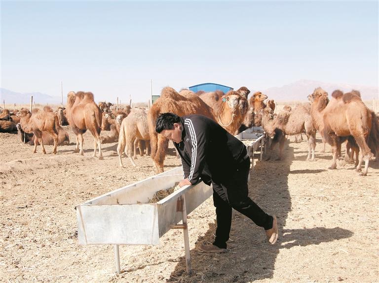 【輝煌“十四五” 改革譜新篇】“石榴籽”抱得更緊 共富路走得更遠(yuǎn)