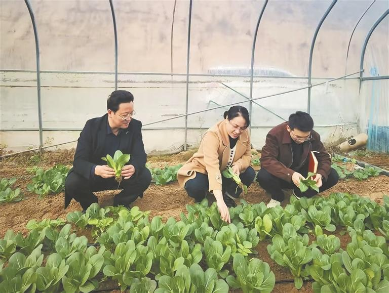 【四中全會精神在基層】振興題 同心解