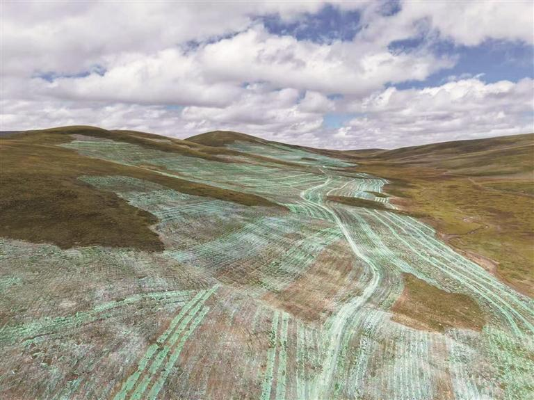 青海達日縣:濕地護得好 黑土長綠草