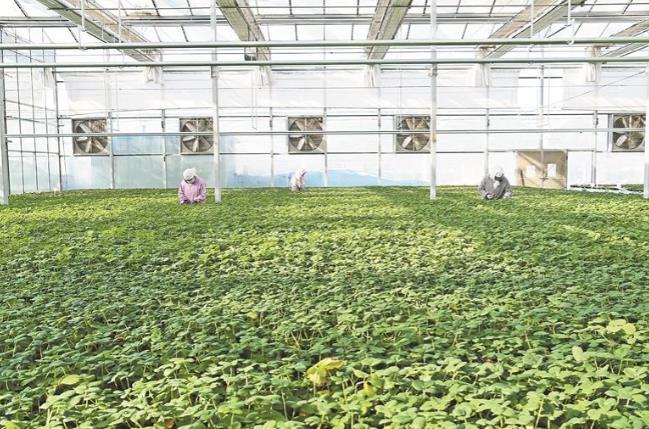 (yu)|(zh)ݮ畳N(xio)ʡ(ni)