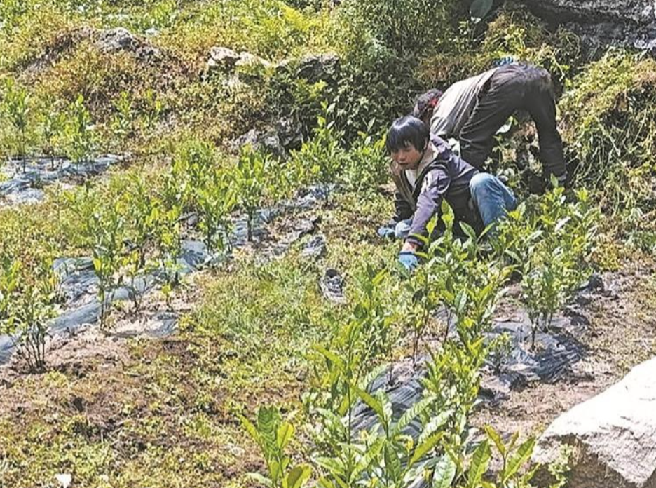 ScreenShot_2025-12-08_060025_231