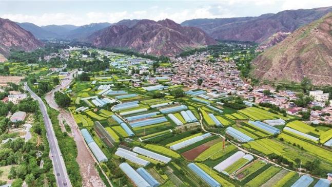 【輝煌“十四五” 改革譜新篇】樂都果蔬憑“食力”出圈 繪就鄉(xiāng)村振興綠色畫卷