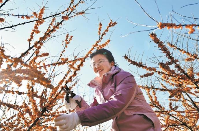 l(xing)dСl(xing)d朗l