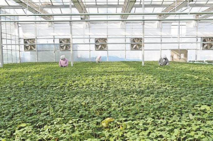 ���x�͡�ʮ���塱 �ĸ��V��ƪ����Դ������ �f(xi��)���`�������������ʮ���塱�l(f��)չ�ɾ�Ѳ�Y֮ʮ