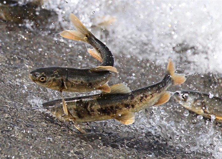 �@�ǁ����ຣ�����~�Ī�(d��)��