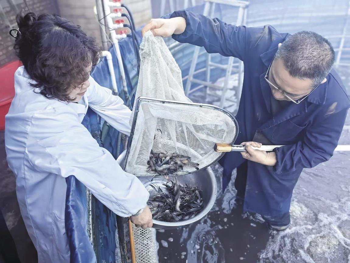 �ຣ���|ƽ���^(q��)���M(j��n)�_�����r�B(y��ng)ֳ�@�S��