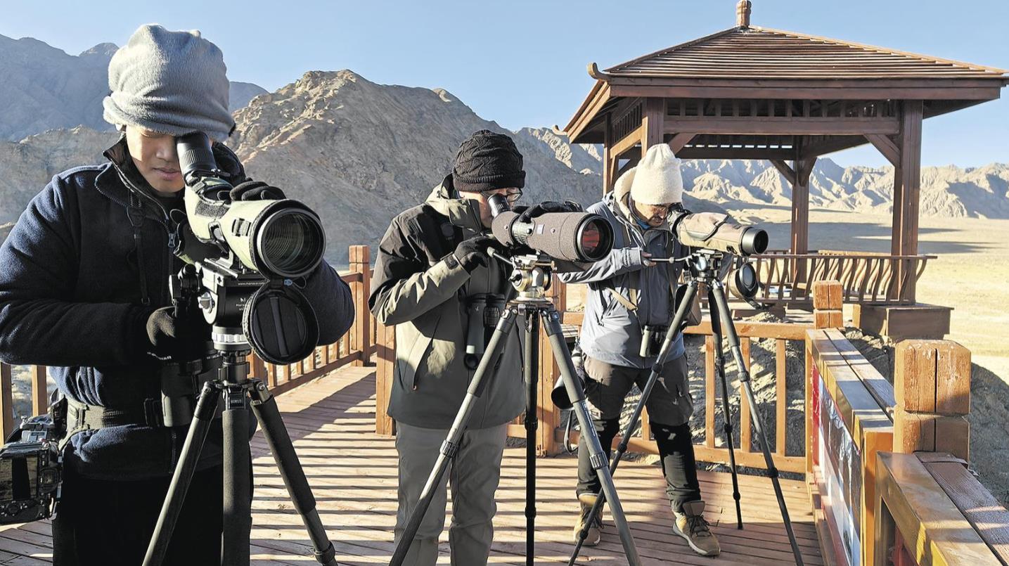 �O(ji��n)�y��һ�����ҌW(xu��)������Δ�(sh��)�B 2026���ຣʡԽ��ˮ�B�O(ji��n)�y��ӛ��