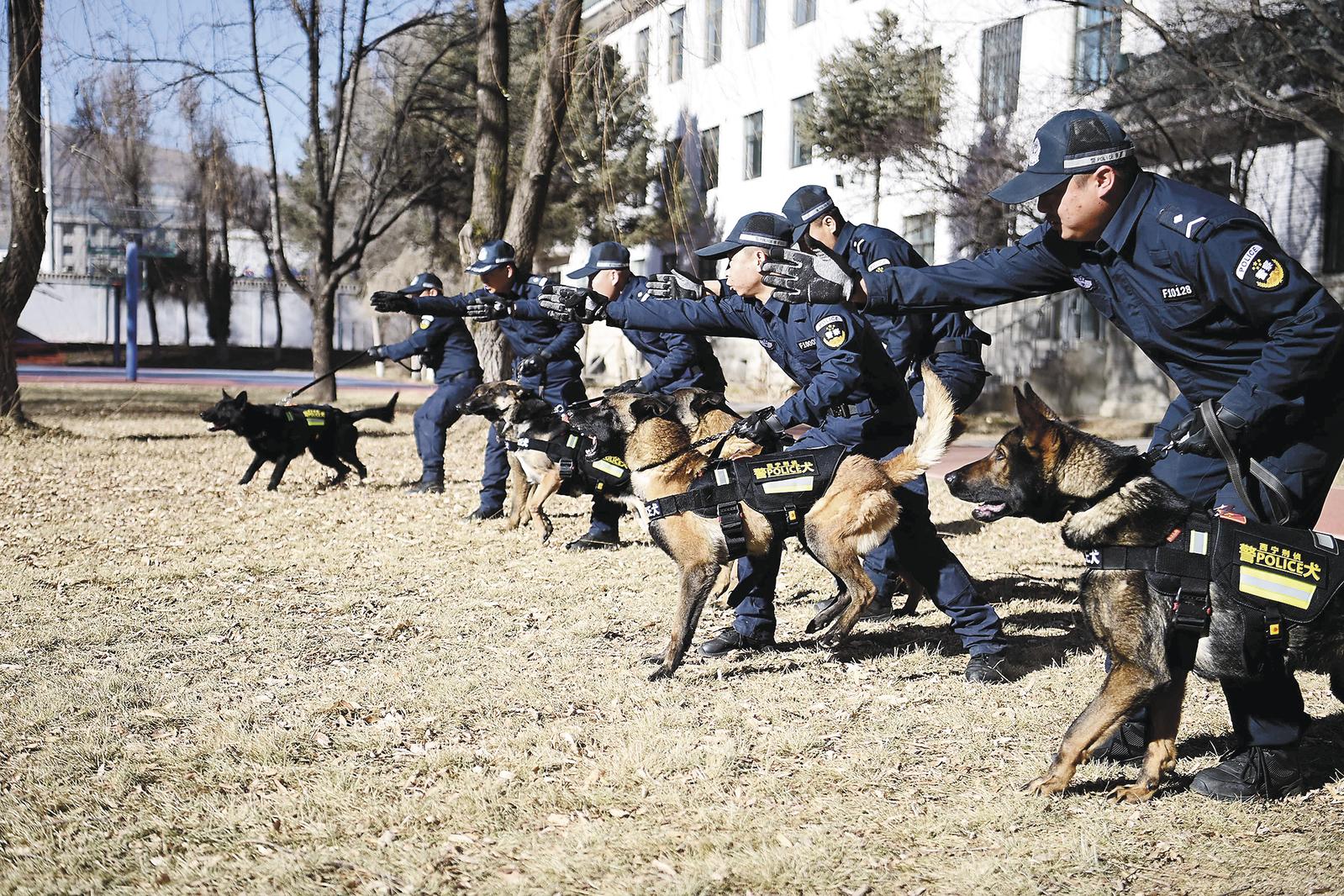 ��ԭ�F�����o�ԑ�(zh��n)�ѡ����Z���oƽ��