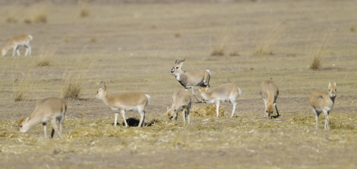 ��·߅������ԭ��