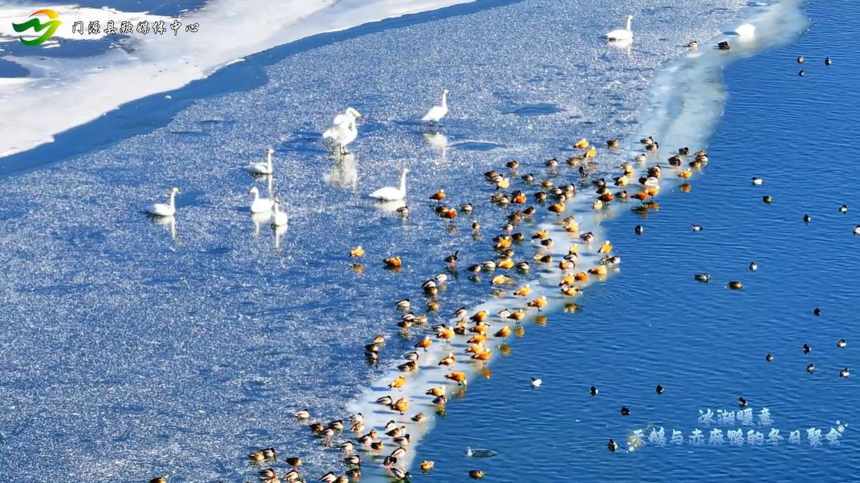 �ຣ�TԴ������ů�⡪�����Z�c�������Ķ��վە�