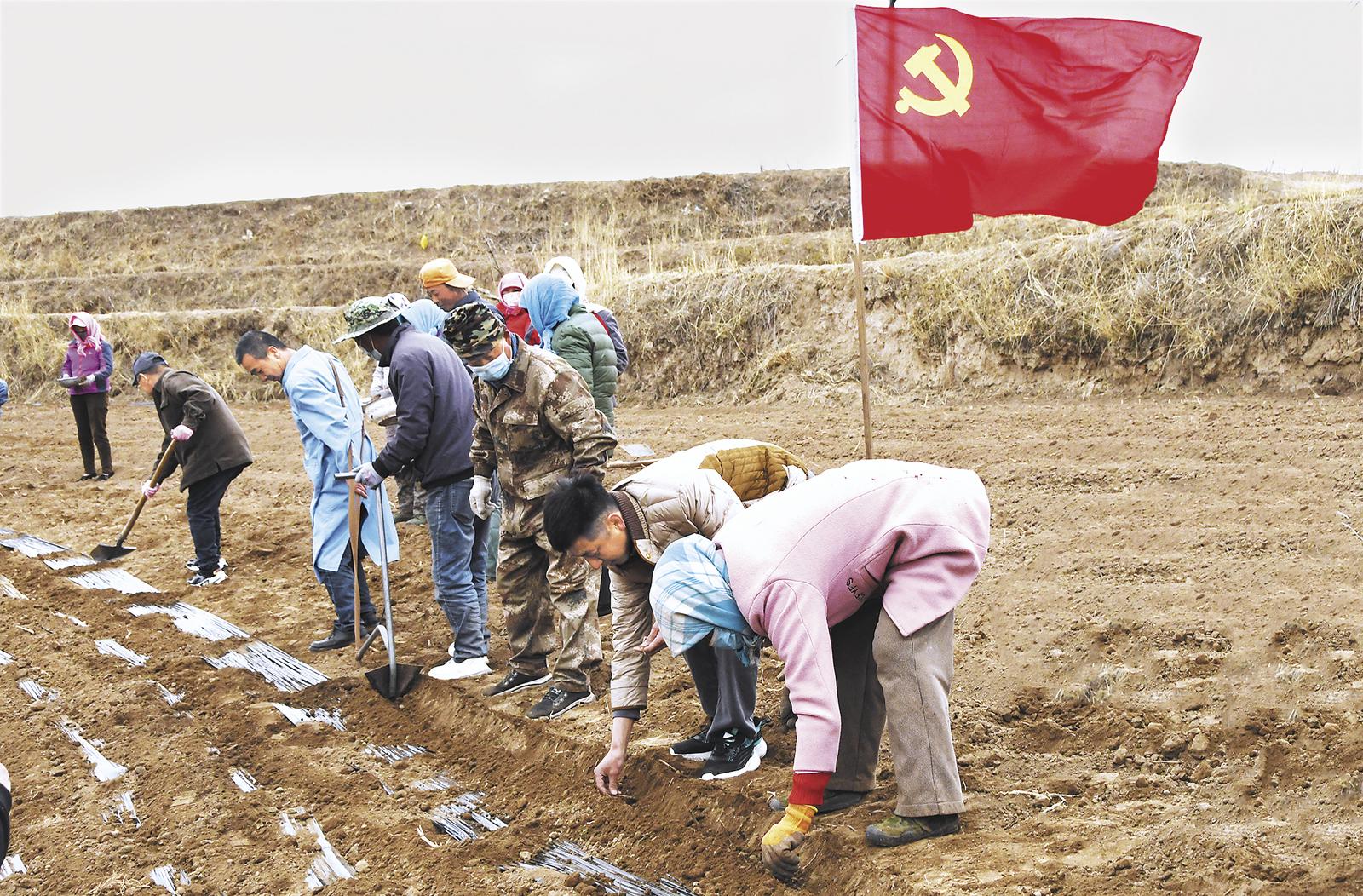 ���h���I(l��ng)�����h�����t���x���l(xi��ng)�塰�d��