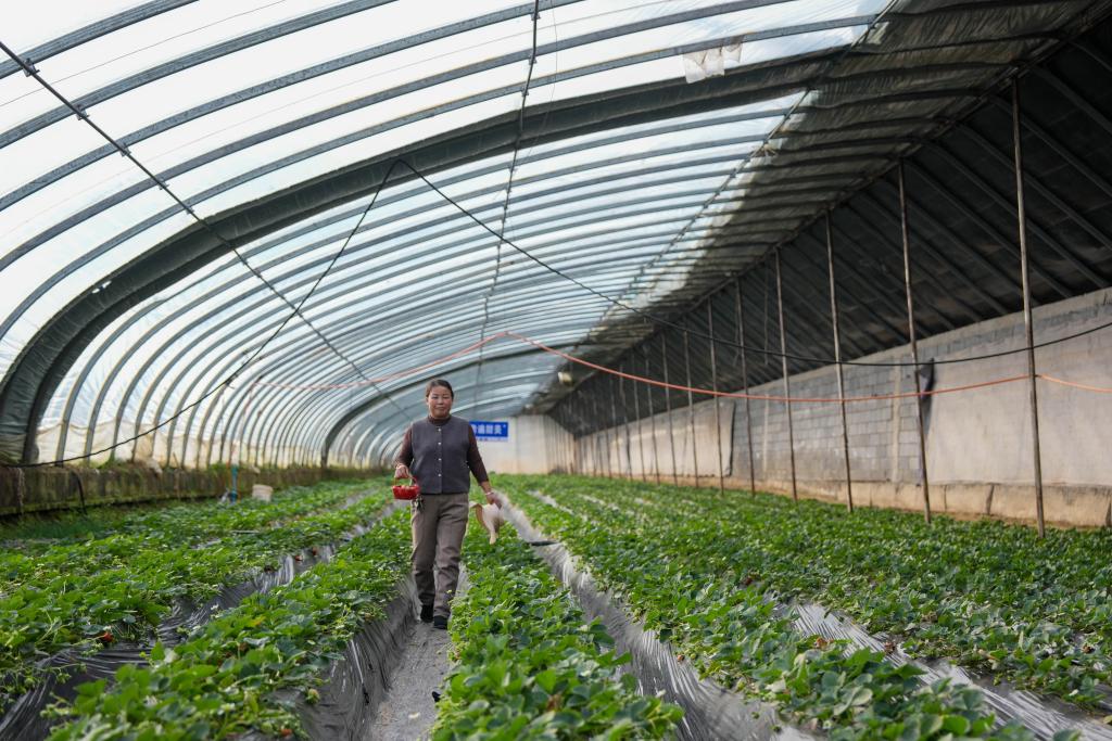 ����ȫ��(hu��)�����ڻ���ح�ຣ������̽����ԭ��ݮ�߼t���ܴa��