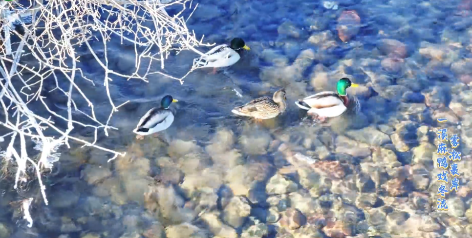 �ຣ�TԴ���Fڡ���� һϪ��������