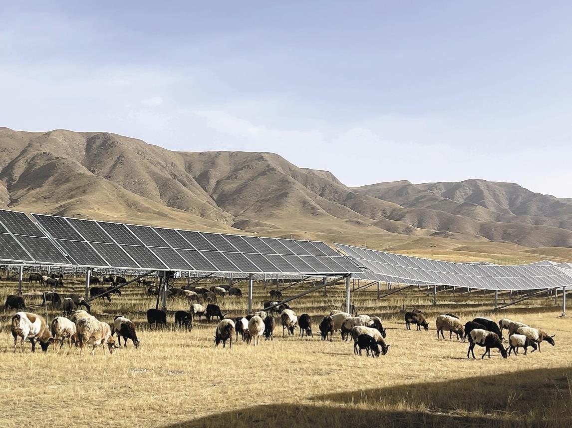 ���ɕ�(hu��)���h���L�����a(ch��n)�����D��