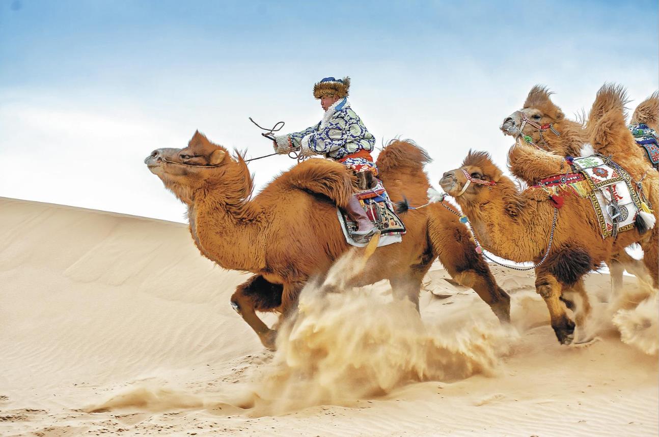 �^���Ǹ�ԭ�����ĵ�ɫ